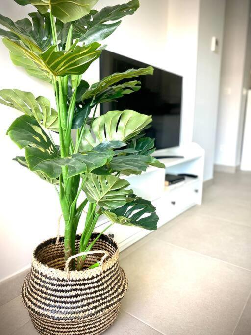 Apartament Mychoice Diana Rota Zewnętrze zdjęcie